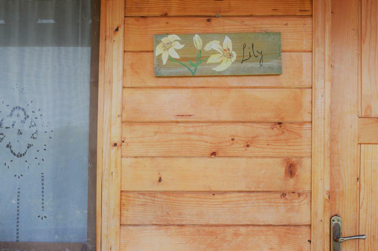 Camping Scala Bungalows Himarë