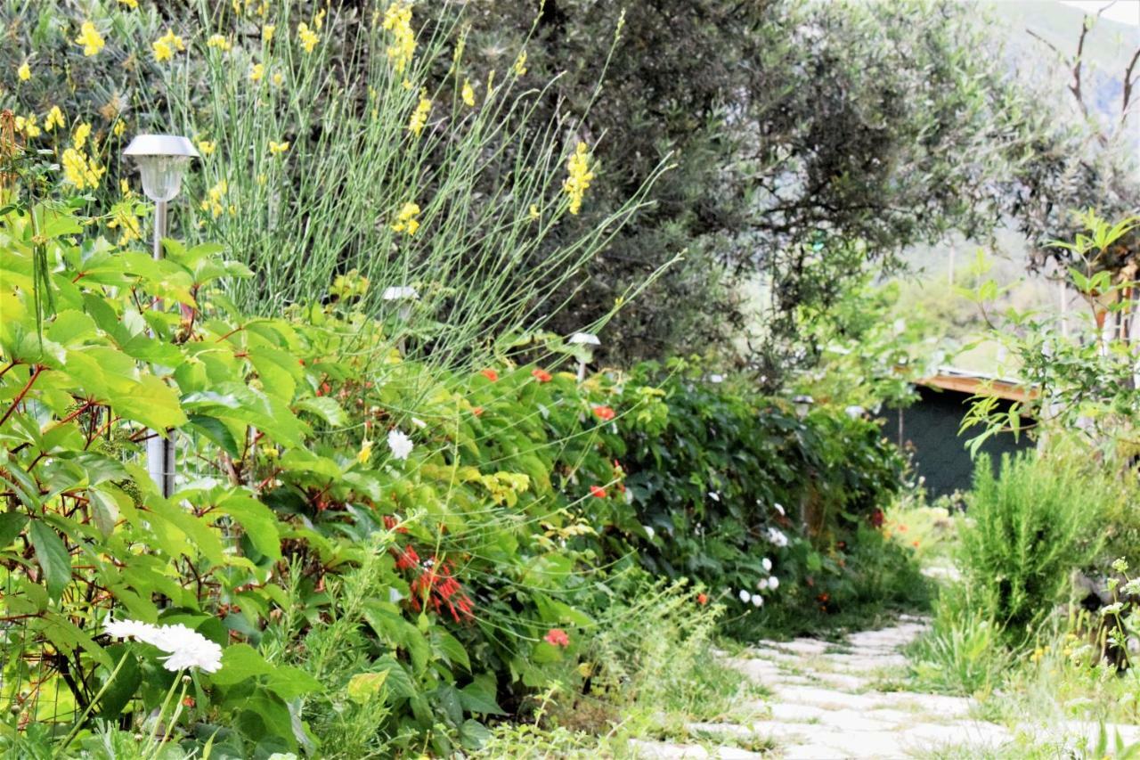 Campsite Scala Bungalows *